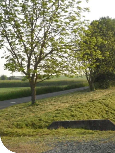 Stev Desherbage Poitiers Entretion D Espaces Verts